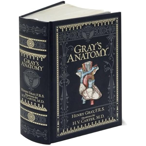 Anatomy, Descriptive and Surgical, 1901 Edition: Henry Gray, T